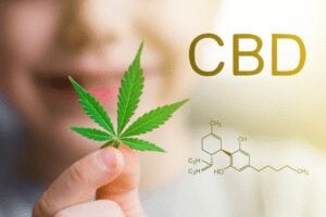 Quelles Sont Les Propriétés De La Fleur De Cbd Et Comment La Consomme-T-On ?